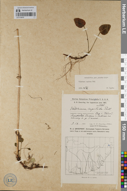 LE 01140478
