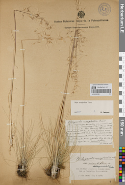 LE 01081520