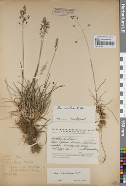 LE 01081525