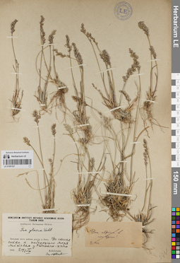 LE 01081527