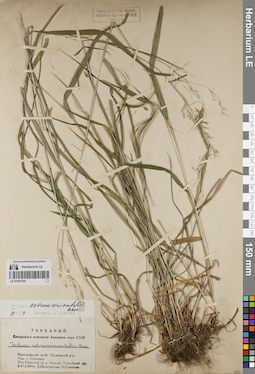 LE 01081554