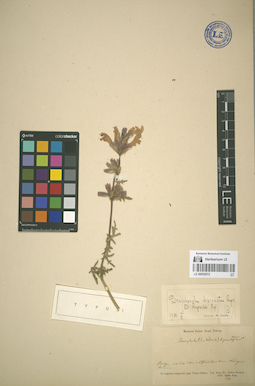 LE 00052972