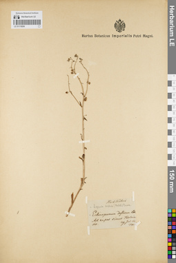 LE 01119206