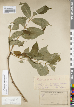 LE 01141212