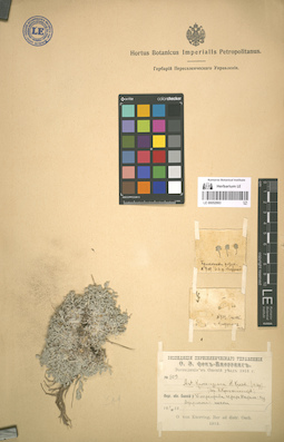 LE 00052993