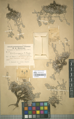 LE 00053000