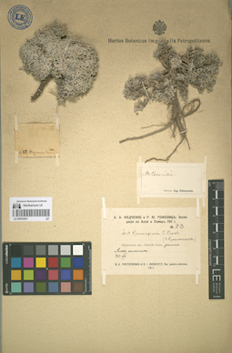 LE 00053001
