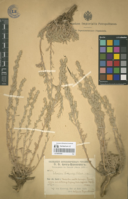 LE 00053009