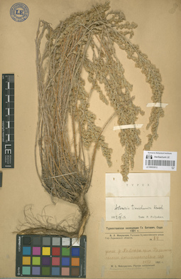 LE 00053012