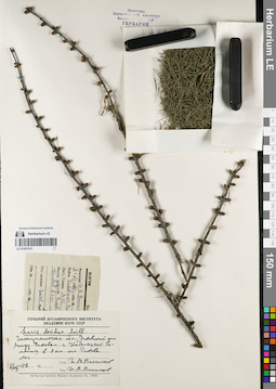 LE 01067419