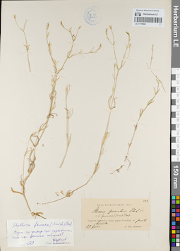 LE 01119544