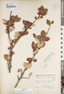 LE 01119581