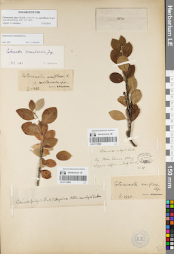 LE 01119593