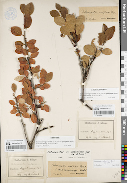 LE 01119597
