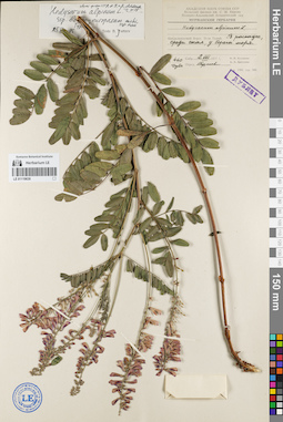 LE 01119630