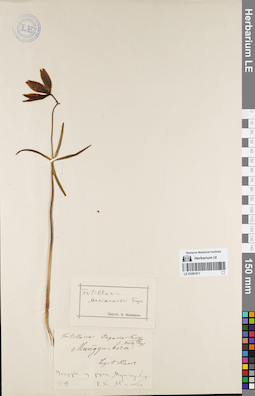 LE 01081611