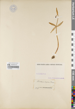 LE 01081657