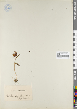 LE 01081661