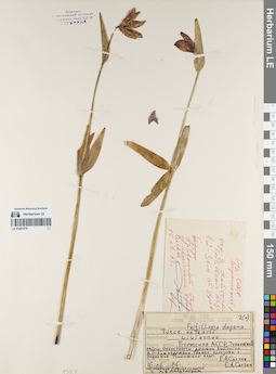 LE 01081679
