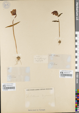 LE 01081688