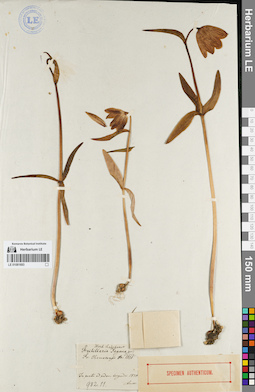 LE 01081693