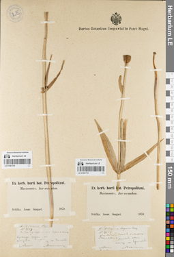LE 01081710