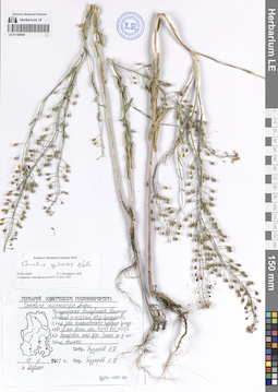LE 01108569