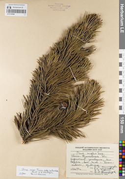 LE 01145590