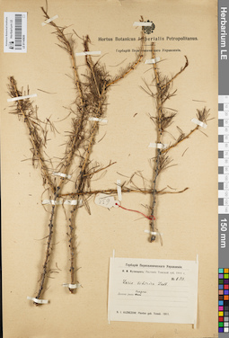 LE 01145830