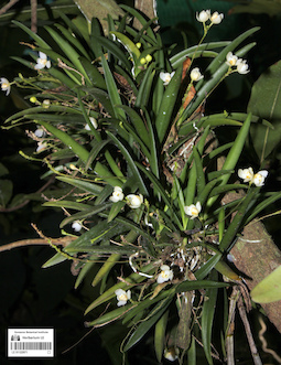 LE 01122971