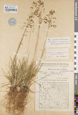 LE 01086679