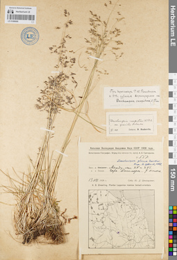 LE 01086680