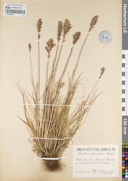 LE 01086688