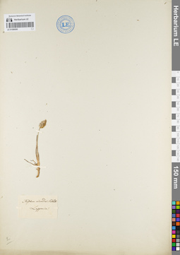 LE 01086690