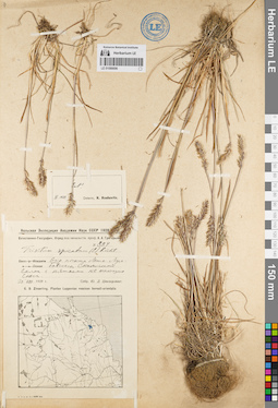 LE 01086696