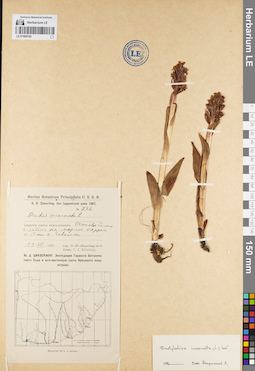 LE 01086769