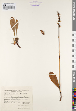 LE 01086784