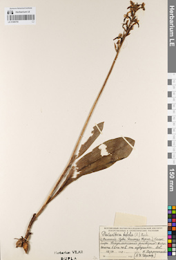 LE 01086795