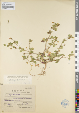 LE 01094271