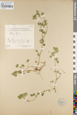 LE 01094274