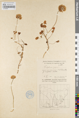 LE 01094394