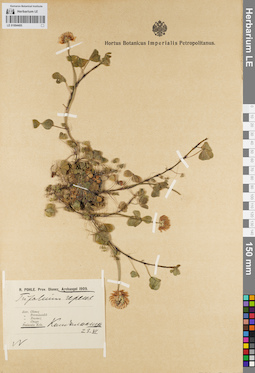 LE 01094405