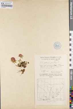 LE 01094433