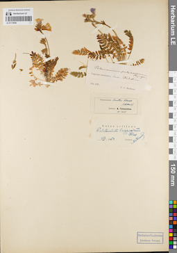 LE 01119649