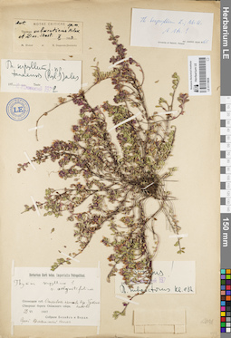 LE 01119658