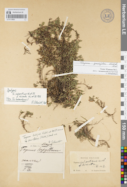 LE 01119659