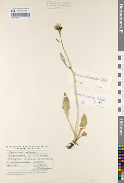 LE 01119675