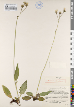 LE 01119678