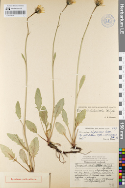 LE 01119726