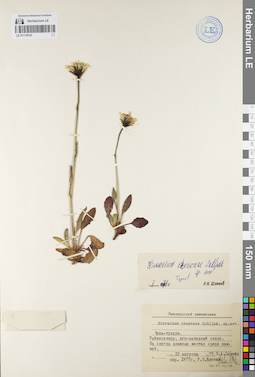 LE 01119734